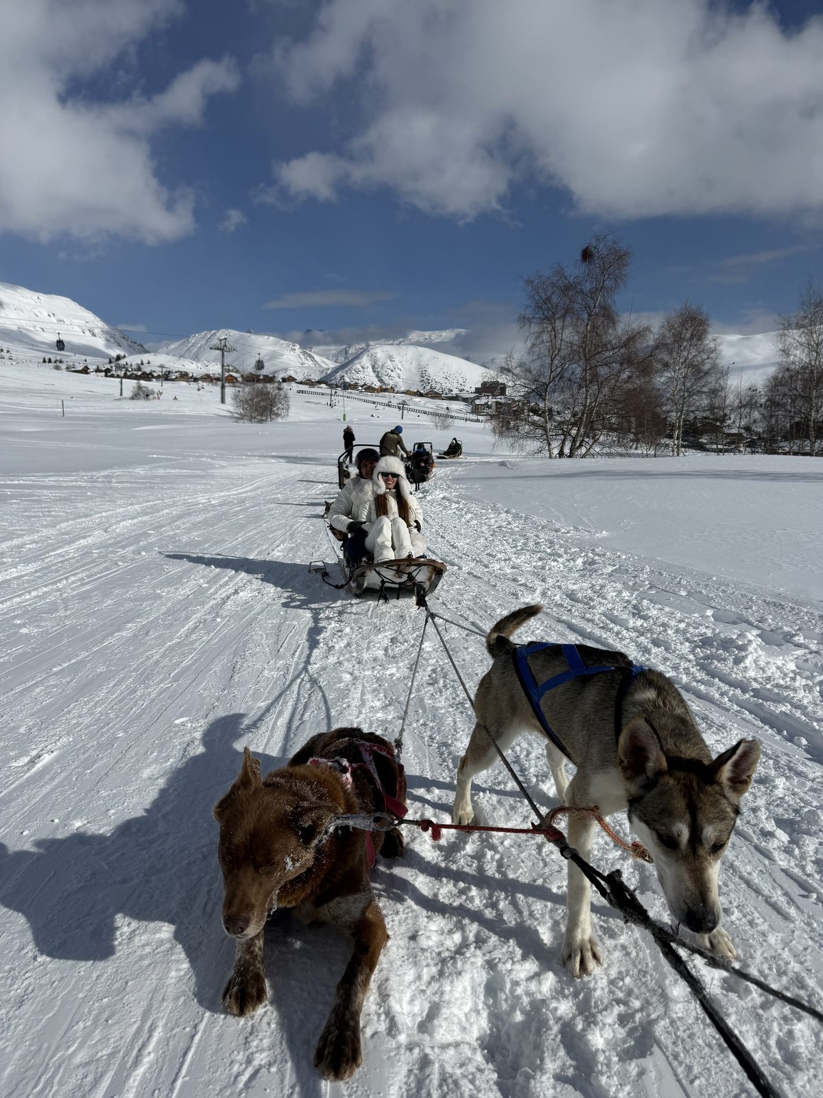 Isabella con un trineo de perros en la nieve